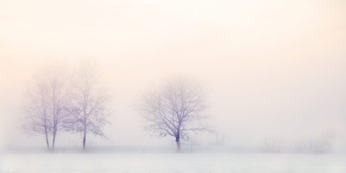 winter-landscape-2571788_1920